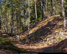 Naturen_Flottsbronaset_Alby_2007-03-28-14