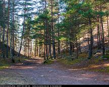 Naturen_Flottsbronaset_Alby_2007-03-28-16