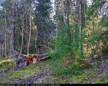 Naturen_Flottsbronaset_Alby_2007-03-28-3