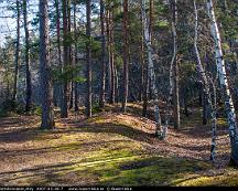 Naturen_Flottsbronaset_Alby_2007-03-28-7