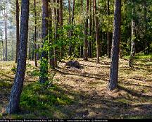 Hallmarkstallskog_Sundsberg_Flottsbronaset_Alby_2017-05-27a