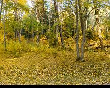 Hostfargerna_i_Rabyskogen_Vasteras_2018-10-12-Pano