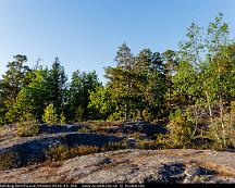 Hallmarkstallskog_Bornhuvud_Vitsand_2018-05-30a