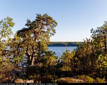 Naturen_Bornhuvud_Vitsand_2018-05-30d