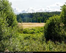 Naturen_Lundby-Borno_2017-08-19a