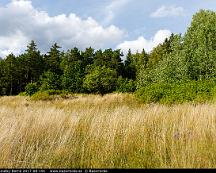 Naturen_Lundby-Borno_2017-08-19c