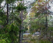Granskog_Alvsta_2008-09-25b