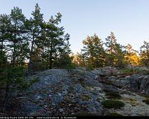 Hallmarkstallskog_Alvsta_2008-09-25a