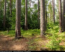 Naturen_Anundshog_2018-08-02f