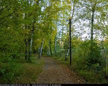 Naturen_Bjornohalsen_Vasteras_2011-10-15g