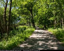 Naturen_Bjornobron-Fagelvik_Vasteras_2016-06-04c-