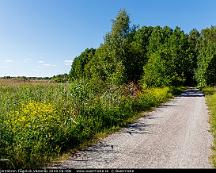 Naturen_Bjornobron-Fagelvik_Vasteras_2018-06-08e