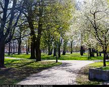 Vasaparken_Vasteras_2018-05-06e