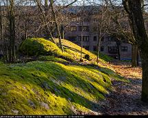 Naturen_Djakneberget_Vasteras_2018-01-27d