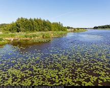 Hasslosundet_Bjornobron_Vasteras_2018-06-08