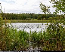 Naturen_Hasslosundet_Hasslo_Vasteras_2017-08-26a