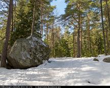 Eljussparet_Rabyskogen_Vasteras_2011-03-17d