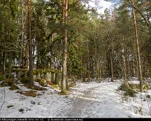 Eljussparet_Rabyskogen_Vasteras_2011-03-17j