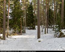 Eljussparet_Rabyskogen_Vasteras_2011-03-17k