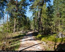 Elljussparet_Rabyskogen_Vasteras_2011-04-28a