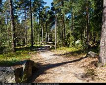 Elljussparet_Rabyskogen_Vasteras_2011-04-28b