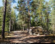 Elljussparet_Rabyskogen_Vasteras_2011-04-28g