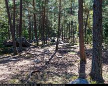 Hallmarkstallskog_Rabyskogen_Vasteras_2011-04-28c