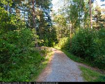 Elljussparet_Rabyskogen_Vasteras_2011-06-18a