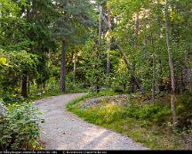 Elljussparet_Rabyskogen_Vasteras_2011-06-18b