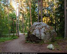 Elljussparet_Rabyskogen_Vasteras_2011-06-18d