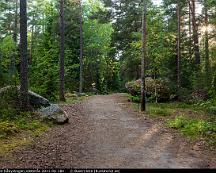 Elljussparet_Rabyskogen_Vasteras_2011-06-18e