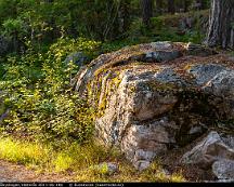 Naturen_Rabyskogen_Vasteras_2011-06-18b