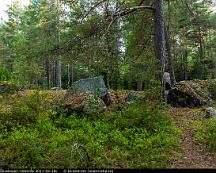 Naturen_Rabyskogen_Vasteras_2011-06-18c