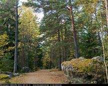 Naturen_Rabyskogen_Vasteras_2011-10-13_-2