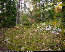 Naturen_Rabyskogen_Vasteras_2011-11-13a