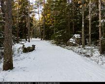 Eljussparet_Rabyskogen_Vasteras_2016-01-03b-2