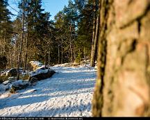 Eljussparet_Rabyskogen_Vasteras_2016-01-03b