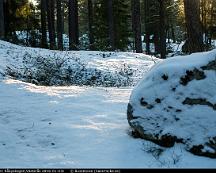 Sno_pa_sten_Rabyskogen_Vasteras_2016-01-03c