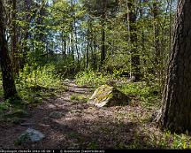 Naturen_Rabyskogen_Vasteras_2016-05-08_-1