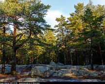 Naturen_Rabyskogen_Vasteras_2017-12-29c