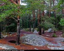 Naturen_Rabyskogen_Vasteras_2017-12-29d