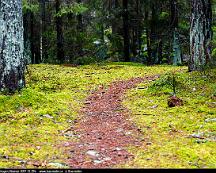 Naturen_Rabyskogen_Vasteras_2017-12-29e