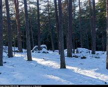 Naturen_Rabyskogen_Vasteras_2018-02-28b