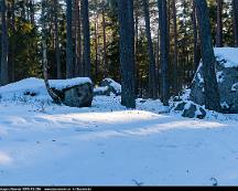 Naturen_Rabyskogen_Vasteras_2018-02-28d