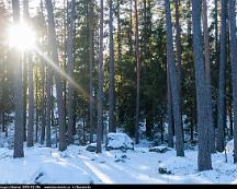 Naturen_Rabyskogen_Vasteras_2018-02-28e