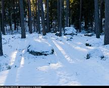 Naturen_Rabyskogen_Vasteras_2018-02-28f