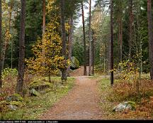 Naturen_Rabyskogen_Vasteras_2018-11-02b