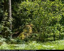 Naturen_Rabyskogen_Vasteras_2019-06-21-6