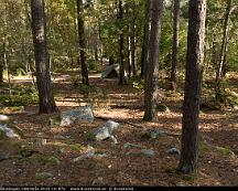 Naturen_Rabyskogen_Vastreras_2019-10-07a