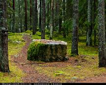 Klippblock_i_Rabyskogen_Vasteras_2019-11-16a